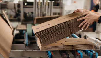 production of corrugated cardboard conveyor